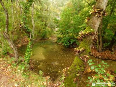 Hoces Río Duratón-Sepúlveda; la panera segovia valle de jerte calas alicante pueblos cerca de mad